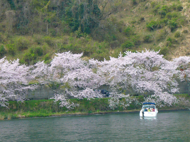 Point.03:画像