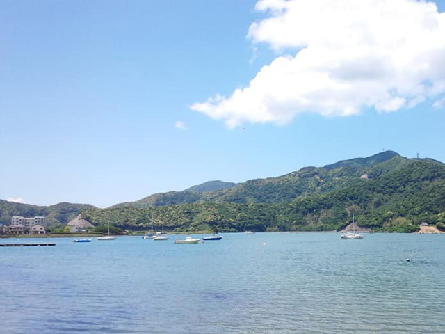 藤田商店:画像